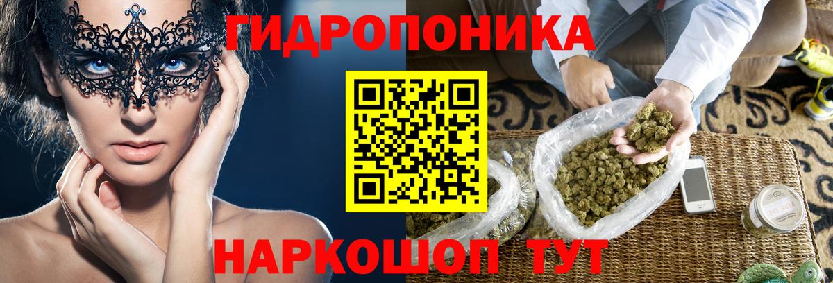 Бошки Шишки Bruce Banner  Бошки марихуана план  Вход с VPN  Кушва 
